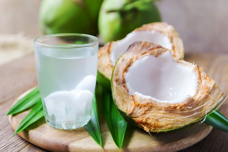 Ilustrasi-Air kelapa dipercayai banyak orang bermanfaat untuk ginjal. (FOTO: ciputrahospital.com)