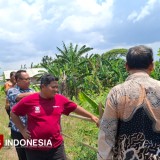 Camat Pajarakan Probolinggo Cek Fisik DD Sukomulyo Probolinggo, Anti Laporan Kertas