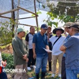 Akademi Buah Nusantara Hadir, Cetak Petani Muda Profesional dan Siap Go Global