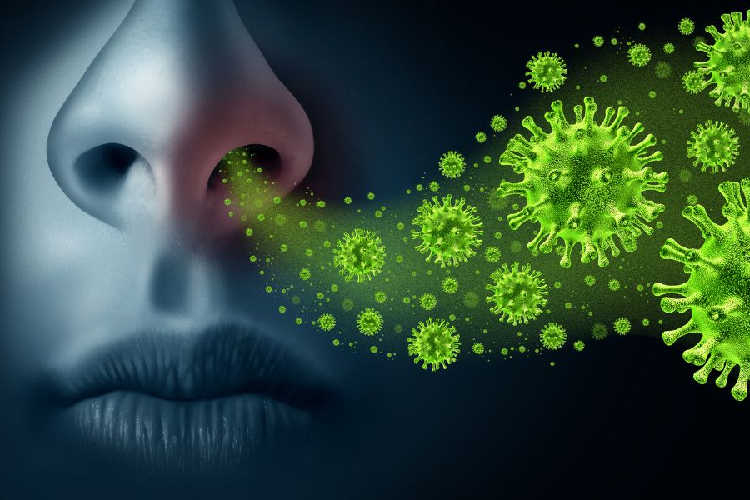 Ilustrasi Virus Influenza.