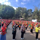 Senam Akbar, Kader Fatayat NU Malang Dorong Gerakan Ekonomi Perempuan Desa