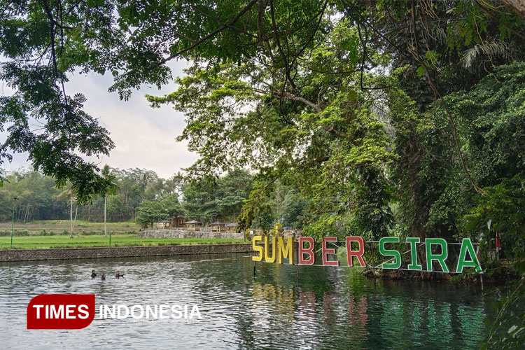 Air Jernih Sumber Sira Putukrejo dan pepohonan rindang menghadirkan ketenangan alami bagi para wisatawan yang ingin melepas penat. (Foto: Ade Rama/TIMES Indonesia)