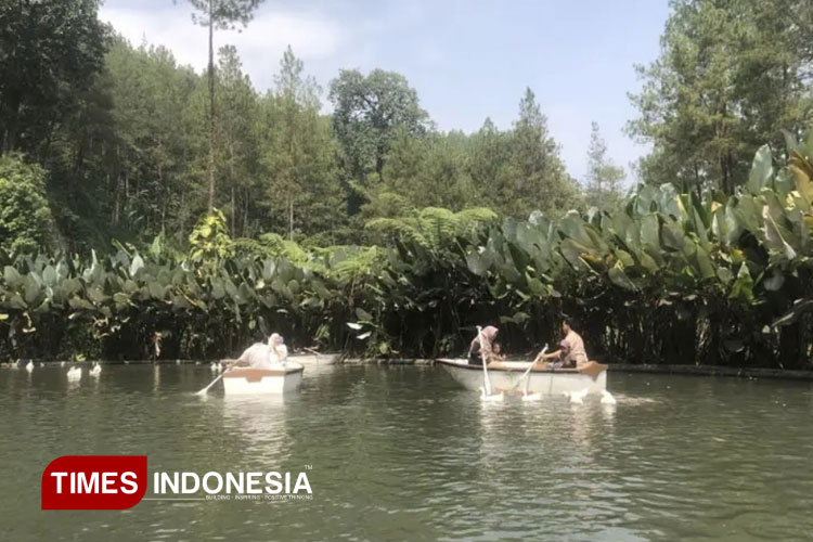 Taman Kemesraan in Pujon, Malang, offers a quiet ambience with a natural atmosphere, perfect for relaxing after a busy day. (Photo: Abimanyu Satrio Widodo/TIMES Indonesia).