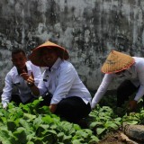 Sayur Organik Hasil Pertanian Warga Binaan Lapas Bondowoso Dilirik Program MBG
