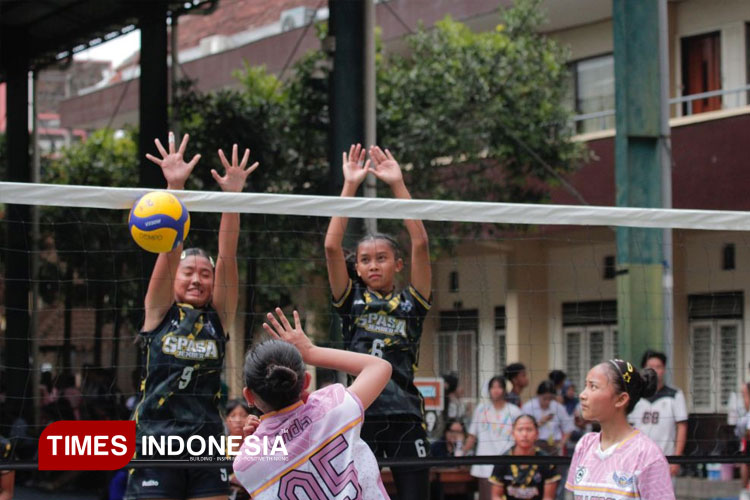 volly.jpg