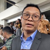 DJP Tegas! UMKM Dilarang Akali Bisnis Demi Insentif Pajak