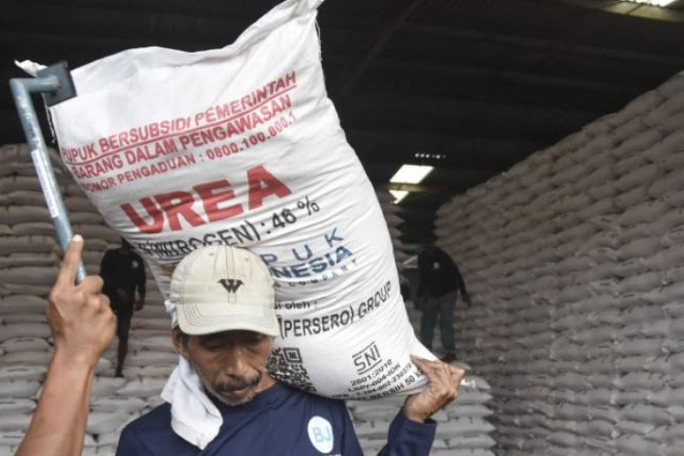 Harga Pupuk Bersubsidi Turun, HKTI  Bantul Sebut Pemerintah Berpihak Kepada Rakyat