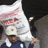 Harga Pupuk Bersubsidi Turun, HKTI  Bantul Sebut Pemerintah Berpihak Kepada Rakyat
