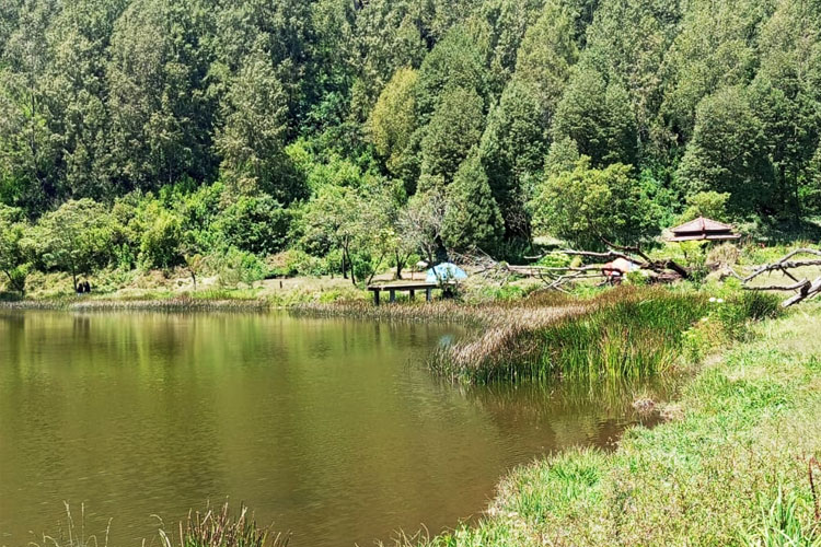 Ranu-Regulo-di-kaki-Gunung-Semeru-c.jpg