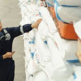 Pupuk Indonesia Salurkan 64% Pupuk Bersubsidi, Capai 6,14 Juta Ton di 2025