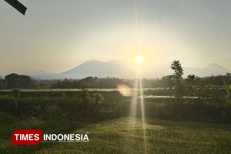 gunung-di-sebrang-Noqdis-Coffee.jpg