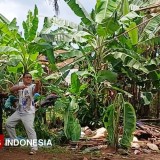 Pilunya Nasib 11 Jiwa di Rumah Nyaris Roboh Berubah Seketika, Dermawan Ini Langsung Beri Bantuan Nyata