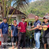 HKTI Pacitan Apresiasi Kebijakan Pemerintah Turunkan Harga Pupuk