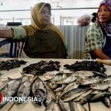 Daging dan Telur Stabil, Harga Ikan Laut di Pacitan Mulai Naik