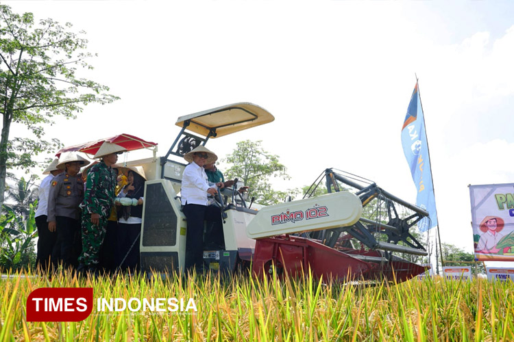 Panen-Raya-Padi-Project-Agrosolution-Pupuk-Kaltim-b.jpg