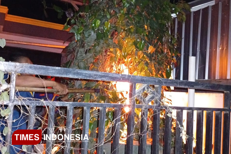 Kakek di Pemalang Meninggal Tersengat Tawon Vespa