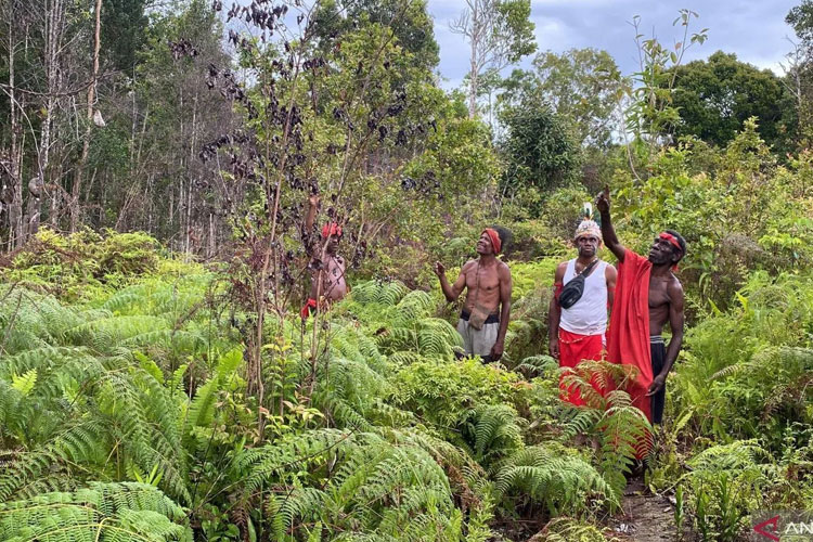 Kemenhut Tetapkan 345 Ribu Hektare Hutan Adat untuk 164 Komunitas Masyarakat Hukum Adat