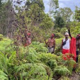 Kemenhut Tetapkan 345 Ribu Hektare Hutan Adat untuk 164 Komunitas Masyarakat Hukum Adat