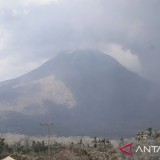 Badan Geologi: Tren Erupsi Gunung Lewotobi Laki-Laki Menurun, Tetap Waspada di Radius 6 KM