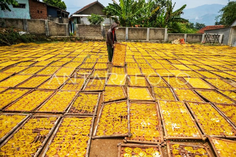 Kredit UMKM Seret, Prosedur Bank Dinilai Jadi Biang Masalah