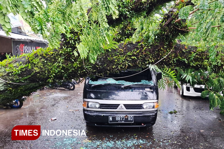 Sebuah mobil rusak tertimpa pohon besar yang tumbang akibat hujan deras di Kota Malang. (FOTO: Dok. BPBD Kota Malang/TIMES Indonesia)