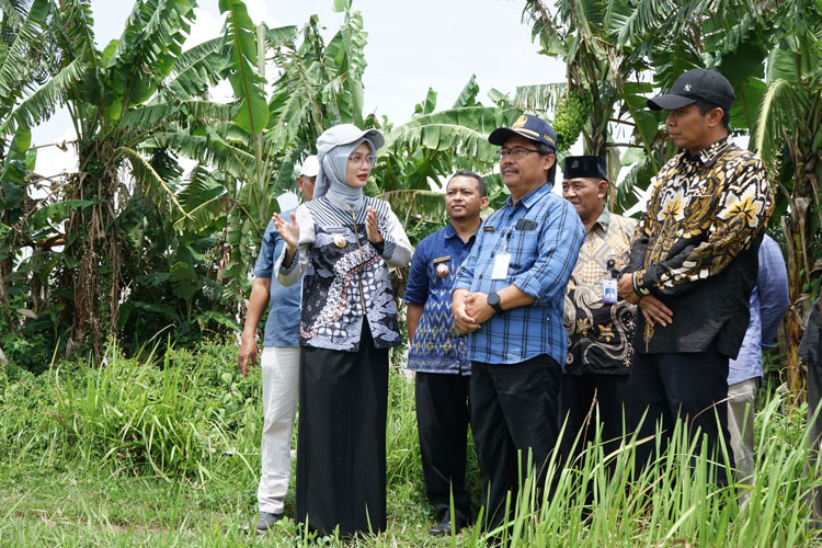 Wali Kota Kediri Tinjau Kesiapan Lahan Untuk Urban Farming di Dua Kelurahan