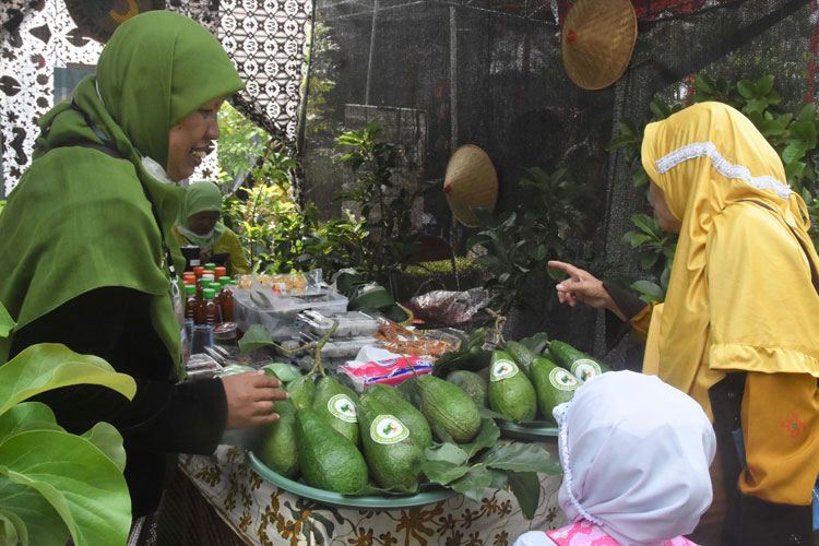 Pemkot Yogyakarta mengajukan sertifikasi tiga buah lokal unggulan yaitu Alpukat Surokarsan, Pisang Morosebo, dan Pisang Gendruwo. (FOTO: Pemkot Jogja)
