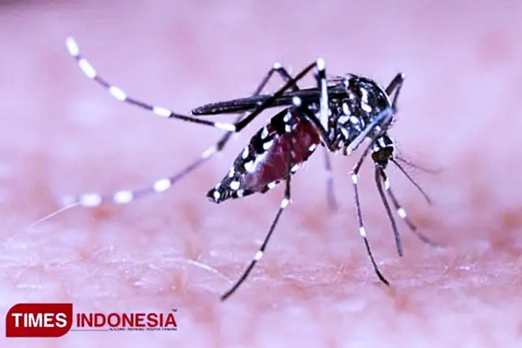 Jakarta Barat Catat Kasus Tertinggi di DKI, Tembus 2.548 Orang