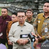 Ribuan Fosil Pulang ke Tanah Air, Fadli Zon Sebut Indonesia Peradaban Tertua Dunia