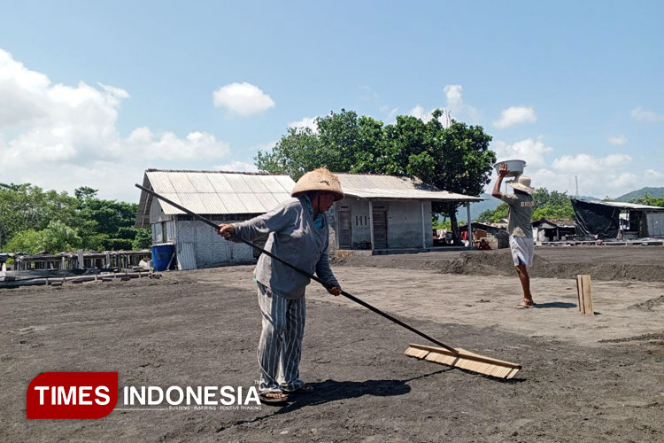 Proses pengikisan permukaan pasir hitam yang mengandung mineral garam setelah penjemuran air laut selesai, Pasir yang dikikis akan dipindahkan ke wadah untuk penyulingan. (Foto: Heliavita Jasmine/TIMES Indonesia)