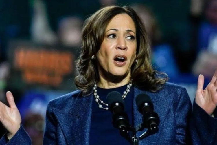 Kamala Harris (FOTO: ANTARA/Anadolu/py)