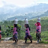 Sunggi Susu: Probolinggo’s Iconic Tradition You Can’t Miss