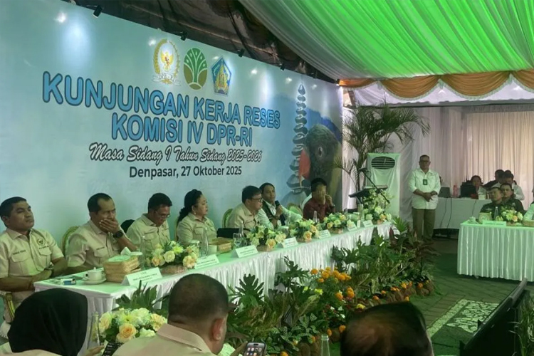 Menhut Minta Maaf ke Masyarakat Papua atas Pembakaran Mahkota Cenderawasih
