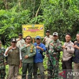 TN Tambora Tutup Dua Jalur Pendakian Ilegal yang Kerap Dipakai Peneliti Asing