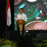 Kembalikan Kejayaan Rempah, Pemerintah Fokuskan Hilirisasi di Maluku Utara dengan Anggaran Triliunan