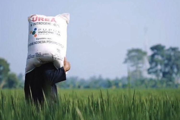 Harga Pupuk Bersubsidi Turun 20 Persen, Petani di Majalengka Gembira
