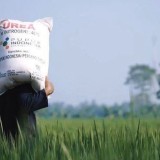 Harga Pupuk Bersubsidi Turun 20 Persen, Petani di Majalengka Gembira