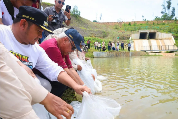 Jaga Ketersediaan Pangan, 500 Kg Benih Ikan Ditebar di Embung IKN