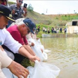 Jaga Ketersediaan Pangan, 500 Kg Benih Ikan Ditebar di Embung IKN