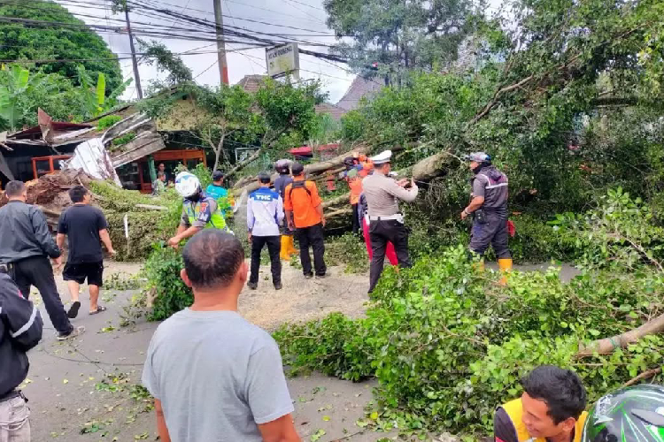 Cuaca Ekstrem, Ribuan Warga Cianjur Terdampak Pasca Lima Hari Hantaman Badai
