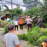 Cuaca Ekstrem, Ribuan Warga Cianjur Terdampak Pasca Lima Hari Hantaman Badai