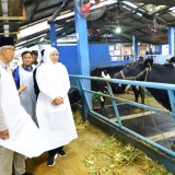 Gubernur Khofifah Optimis Produksi Susu Jatim untuk Nasional Makin Meningkat