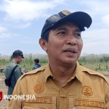 Perhutani Banyuwangi Selatan Siapkan 60 Hektare Lahan untuk Tanam Kedelai