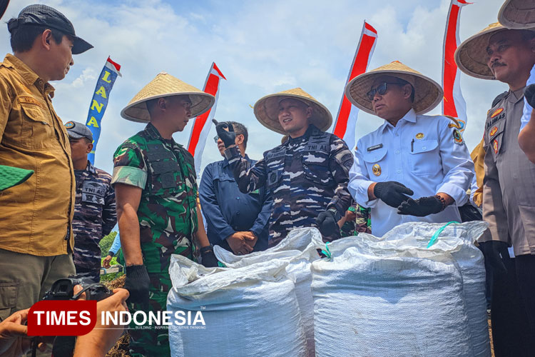 (tengah) Danlanal Banyuwangi, Letkol Laut (P) Muhammad Puji Santoso, didampingi Wabup Banyuwangi dan Dandim 0825/Banyuwangi, sedang melihat hasil panen kedelai. (FOTO: Ikromil Aufa/TIMES Indonesia)