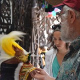 Tokoh Adat Papua Minta Aturan Lindungi Mahkota Cenderawasih