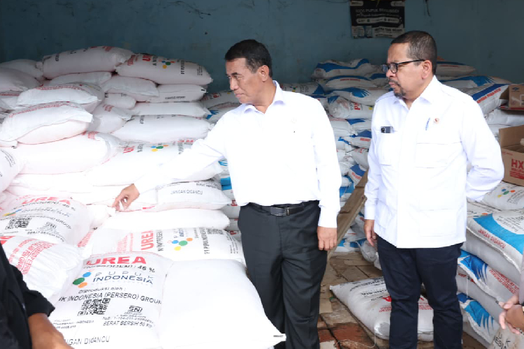 Pastikan Harga Pupuk, Mentan Amran dan KSP Qodari Sidak di Lampung