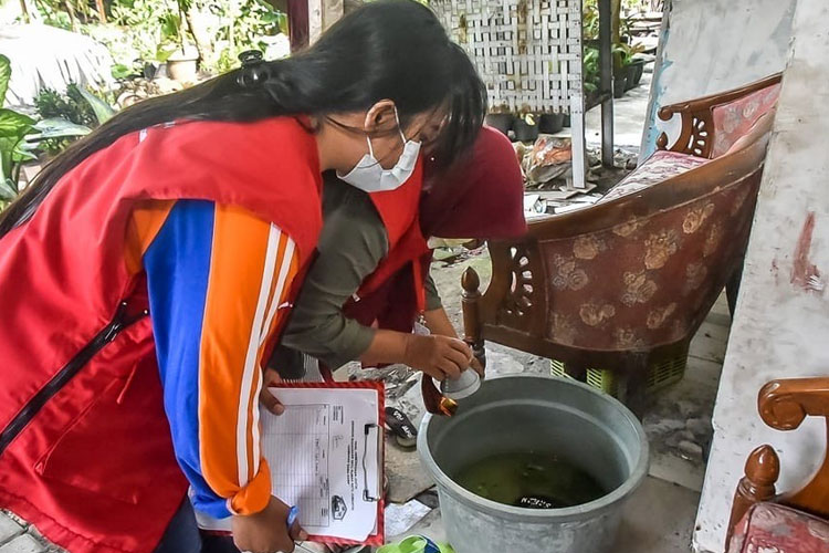 Cegah DBD saat Musim Hujan, Pemkot Surabaya Minta Warga Lakukan 3M Plus dan G1R1J