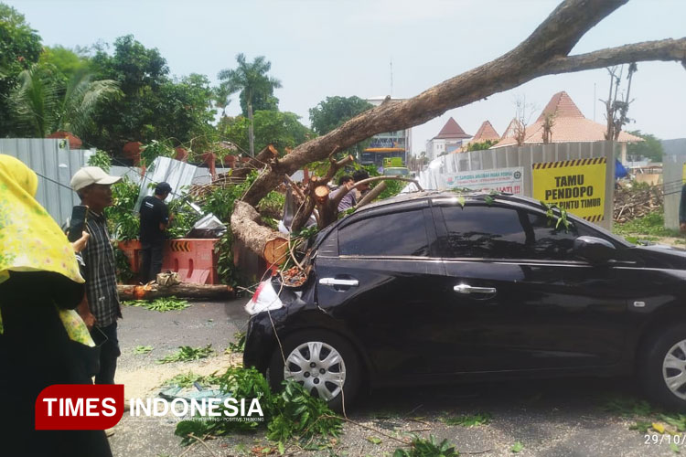 Penebangan Pohon di Depan Pendopo Sidoarjo Makan Korban, Satu Mobil dan 4 Motor Rusak