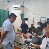 BKSDA Jambi Telusuri Beruang Setelah Serang Petani di Muaro Jambi