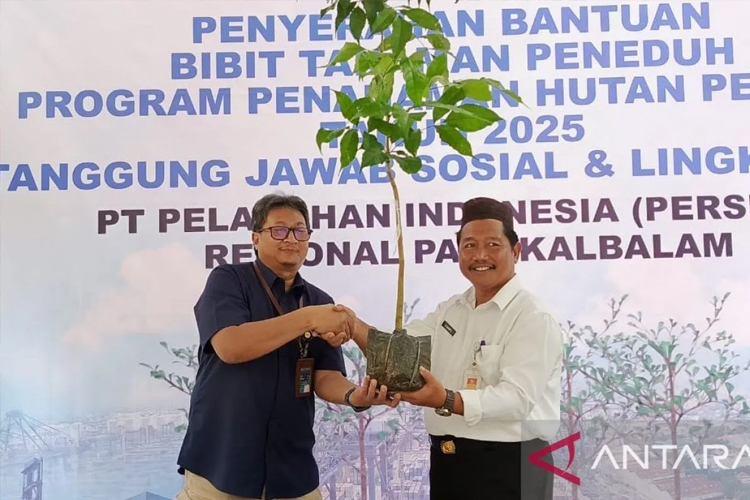 Dianggap Punah Lebih dari 100 Tahun, Tanaman Manggis Klabang Ditemukan Kembali